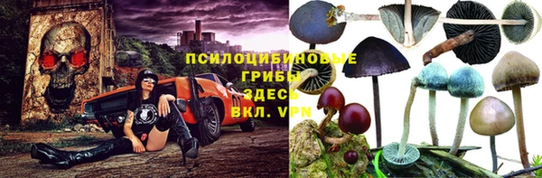 бошки Армянск