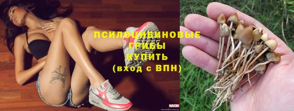 бошки Армянск