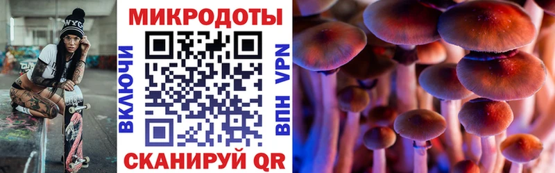 omg ссылка  Ковылкино  Псилоцибиновые грибы ЛСД 